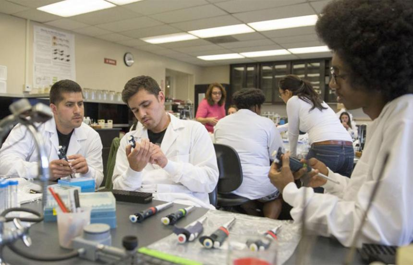 PhD in Epidemiology &  Translational Science