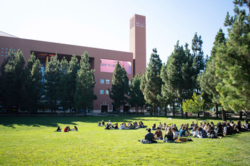 students sitting on a grassy quad