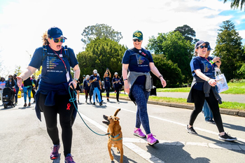 people walking in a group walk with dog. 